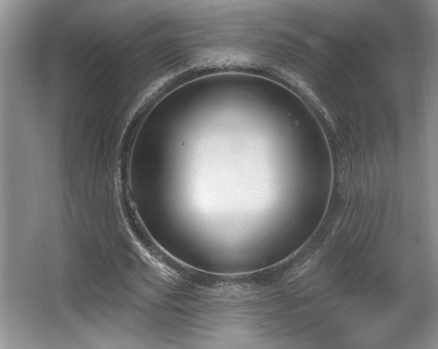 X0000065990629200603061258