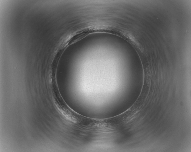 X0000065990631200603061258