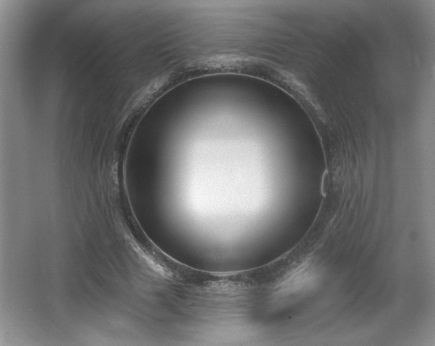 X0000065990633200603061258