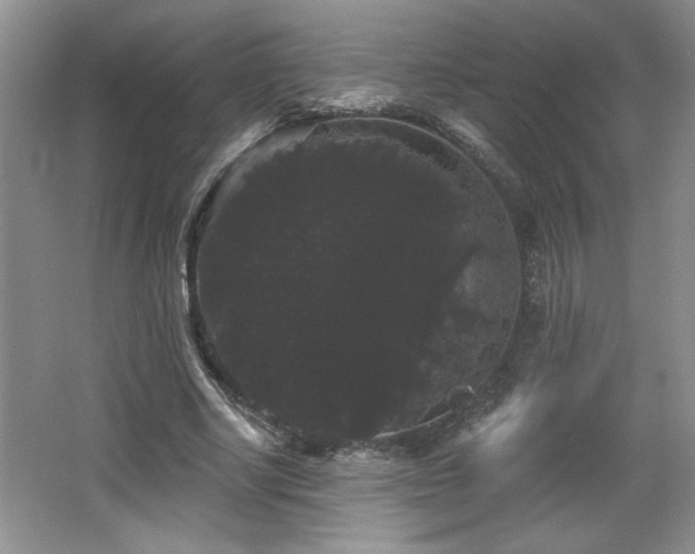 X0000065990634200603061258