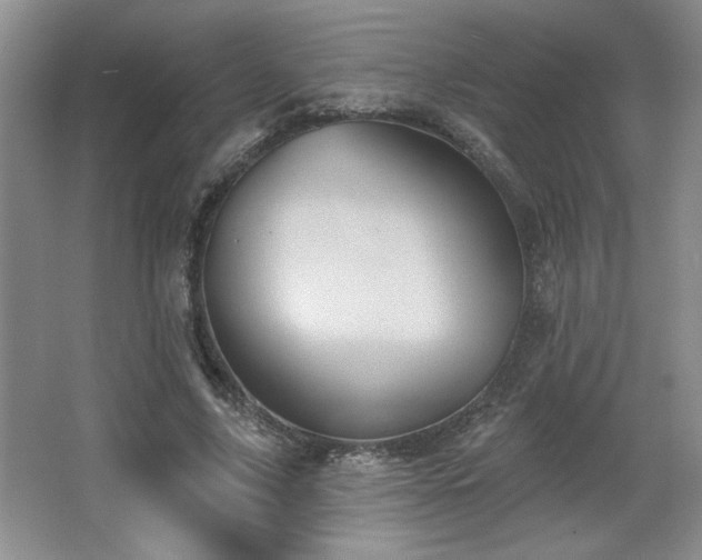 X0000065990635200603061258