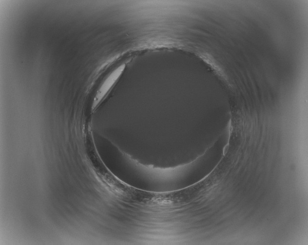 X0000065990640200603061258
