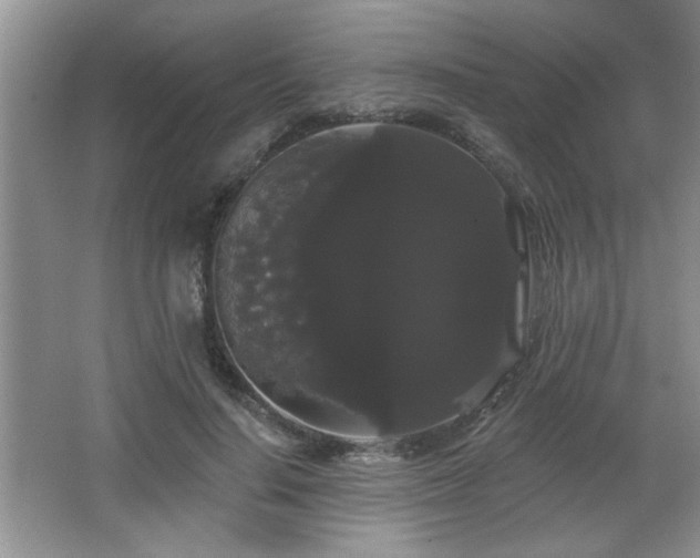 X0000065990644200603061258