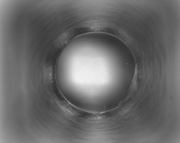 X0000065990646200603061258