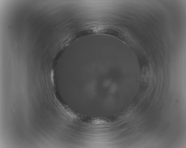 X0000065990650200603061258