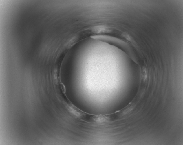 X0000065990670200603061259