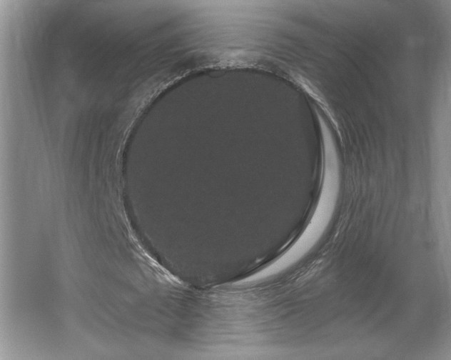 X0000065990673200603061258
