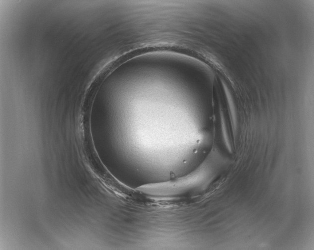 X0000065990676200603061258