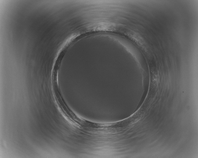 X0000065990678200603061258