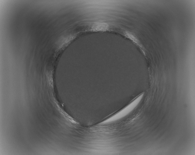X0000065990681200603061258