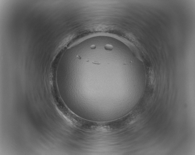 X0000065990683200603061258