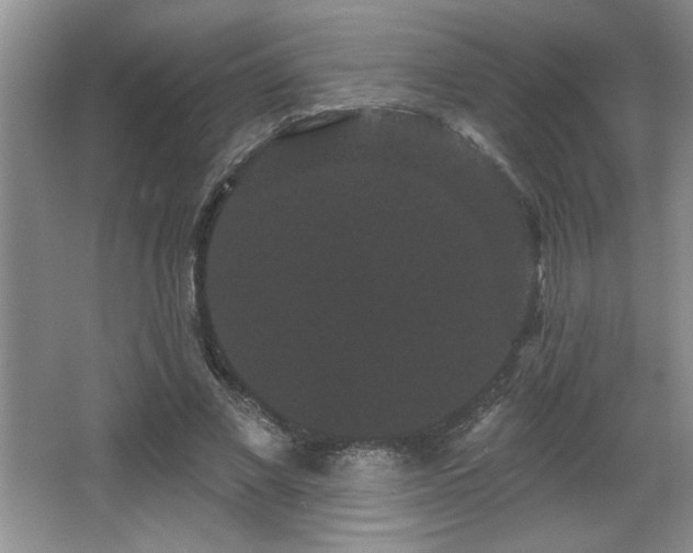 X0000065990685200603061258