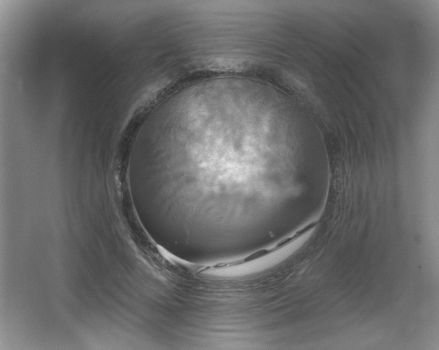 X0000065990688200603061258