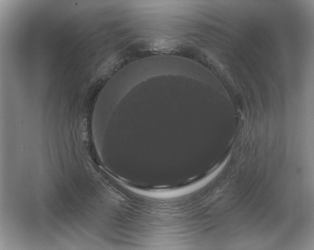 X0000065990689200603061258