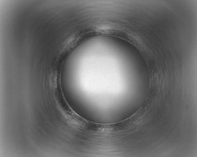 X0000065990694200603061258