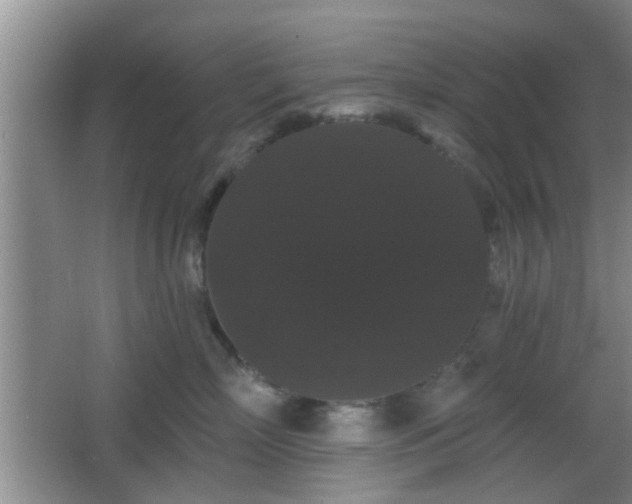 X0000065990718200603061257