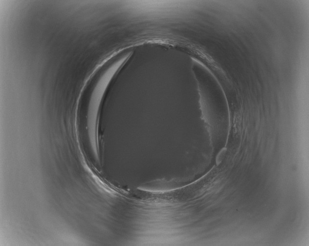 X0000065990722200603061256