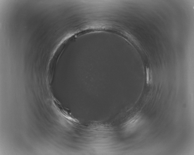 X0000065990723200603061256