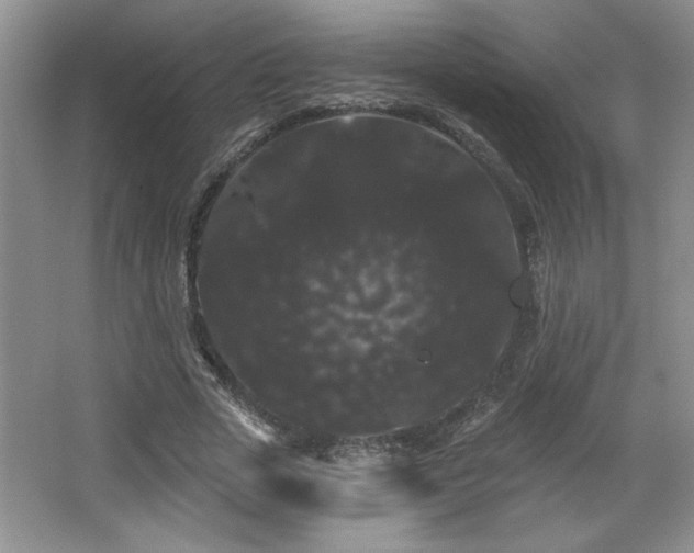 X0000065990729200603061257