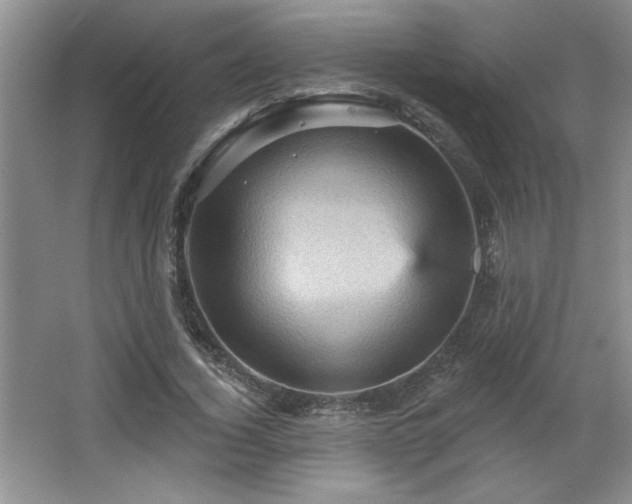 X0000065990732200603061257