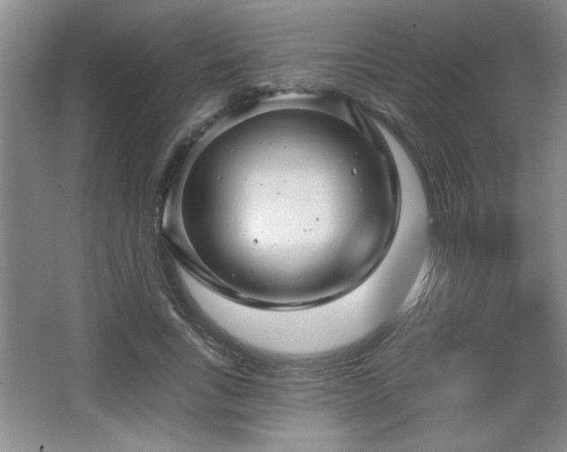 X0000065990735200603061257