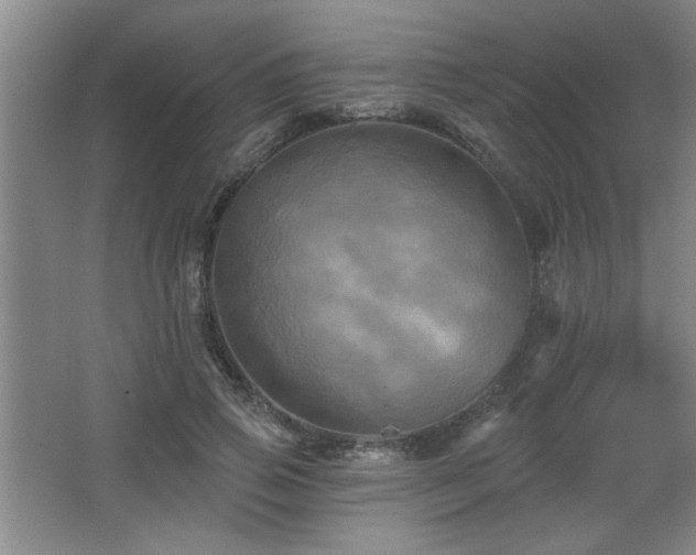 X0000065990741200603061257