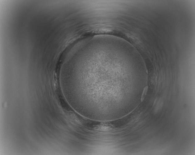 X0000065990743200603061257