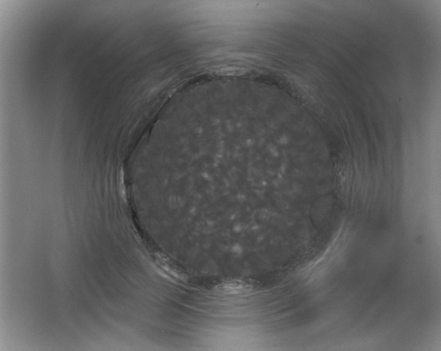 X0000065990745200603061257