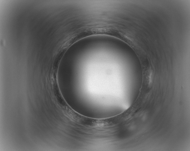 X0000065990746200603061257