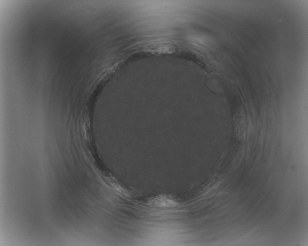 X0000065990747200603061257