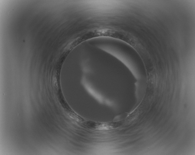 X0000065990754200603061257