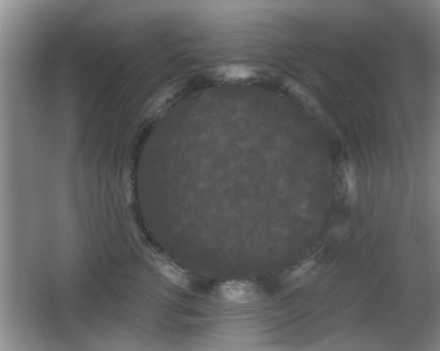 X0000065990762200603061257