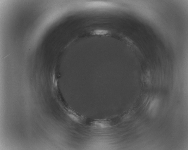 X0000065990763200603061257