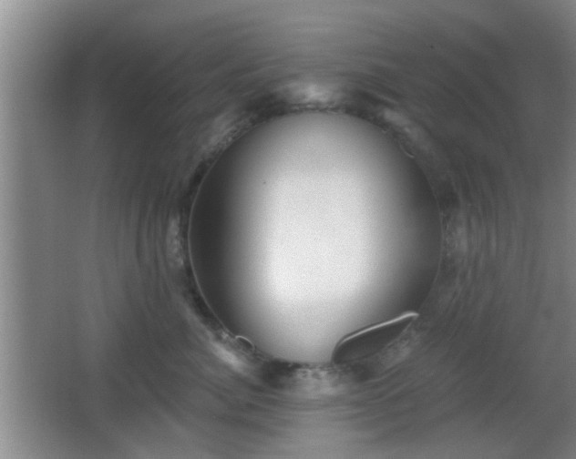 X0000065990764200603061257