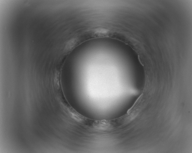 X0000065990768200603061257
