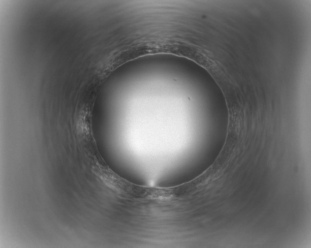X0000065990770200603061256