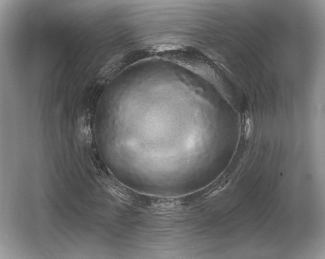 X0000065990771200603061256