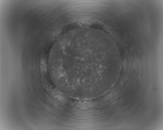 X0000065990772200603061256