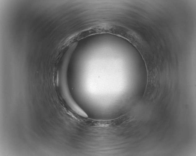 X0000065990773200603061256
