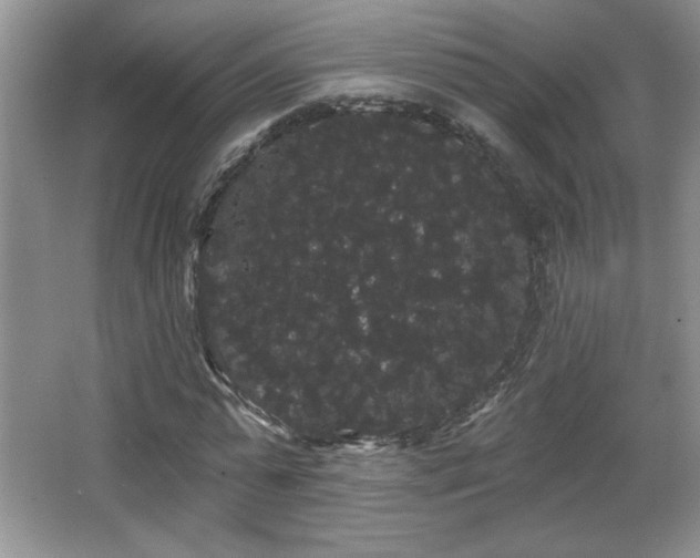 X0000065990775200603061256