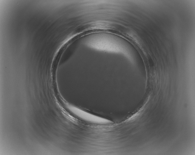X0000065990779200603061256