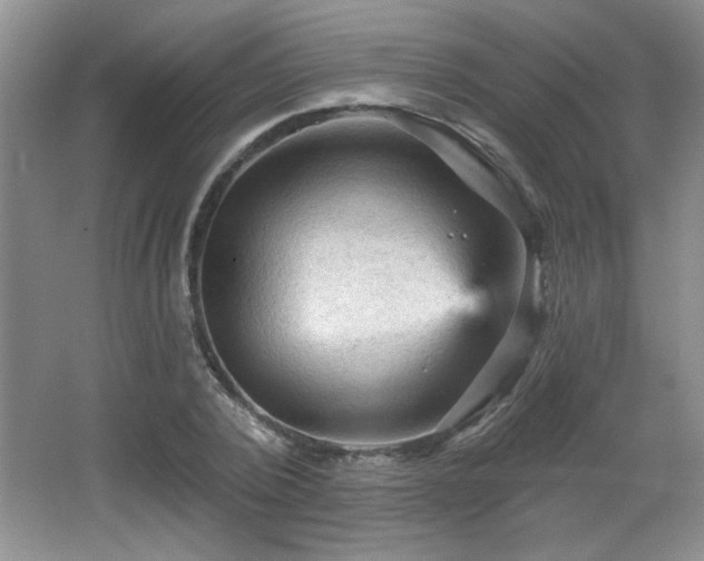 X0000065990784200603061256