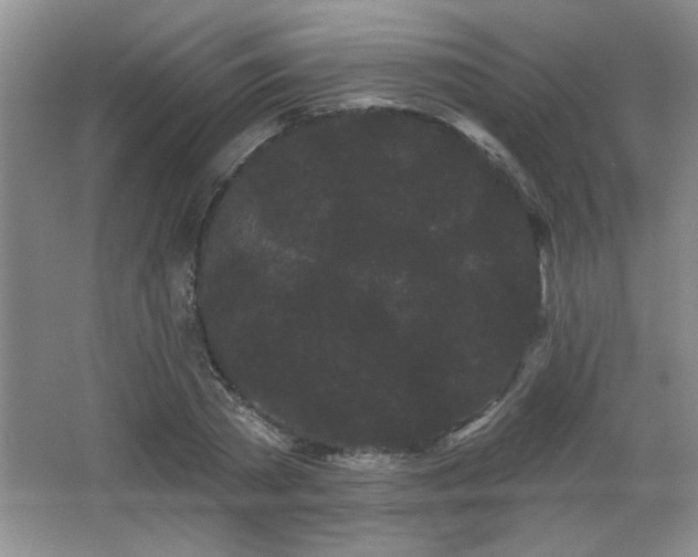 X0000065990785200603061256