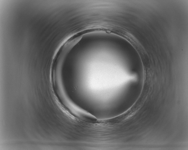 X0000065990788200603061256