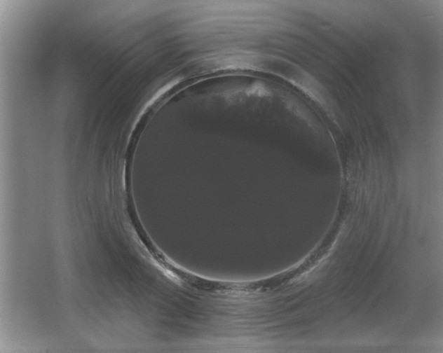 X0000065990790200603061256