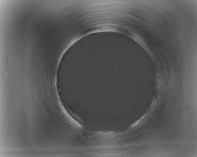 X0000065990797200603061256