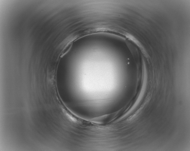 X0000065990801200603061256