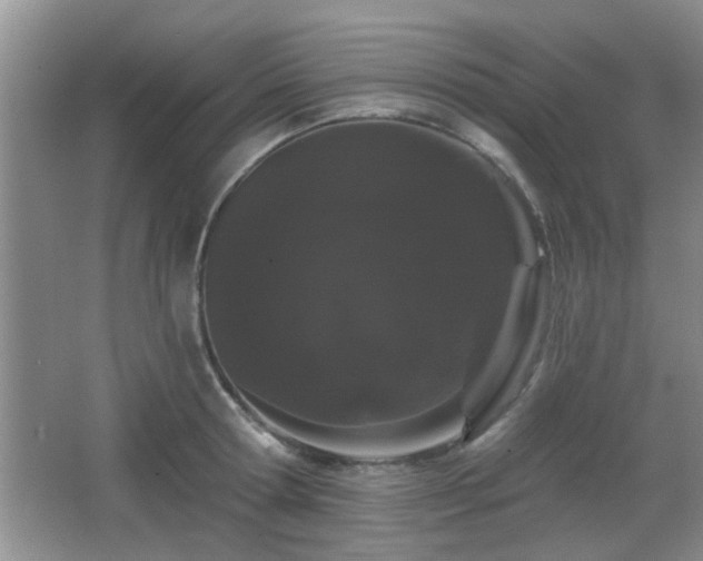 X0000065990802200603061256