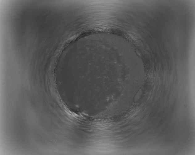 X0000065990817200603061255