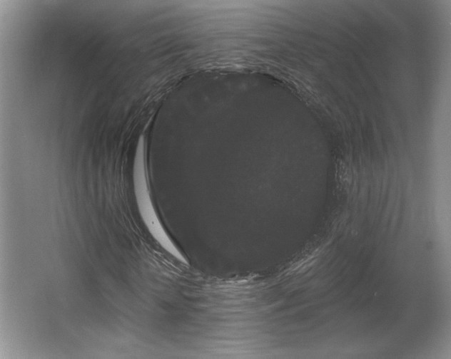 X0000065990818200603061255